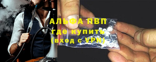 ECSTASY Гусь-Хрустальный