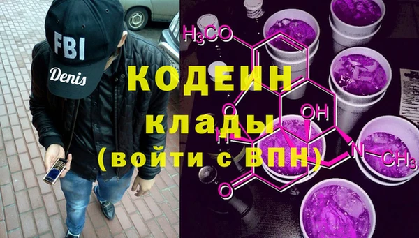 ECSTASY Гусь-Хрустальный