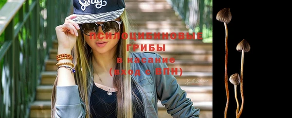 мескалин Гусев