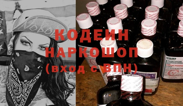 ECSTASY Гусь-Хрустальный