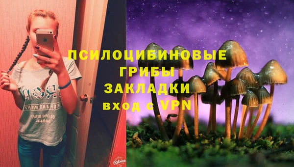 ECSTASY Гусь-Хрустальный