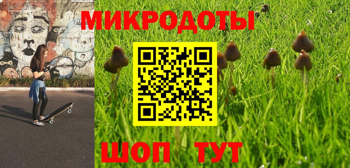 Псилоцибиновые грибы мицелий  цена наркотик  Ефремов  Вход с VPN 